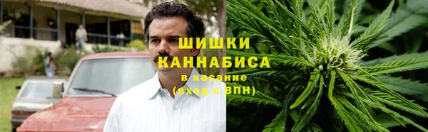 метадон Горнозаводск
