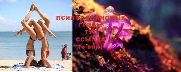 марки lsd Горняк