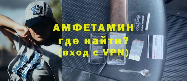 стаф Тайга